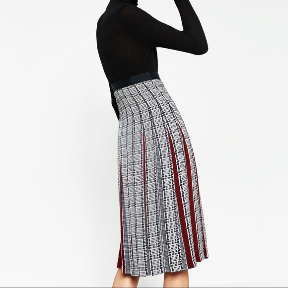 NWT Zara Printed Accordion Pleated Skirt - Picture 5 of 5